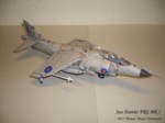 Sea Harrier Mk 1 (2).JPG

58,51 KB 
1024 x 768 
22.11.2011
